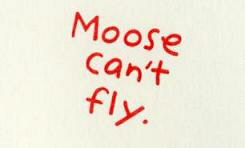 Moose can't fly.