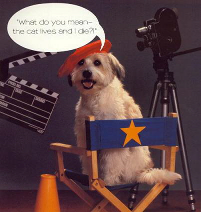 Dog Actor